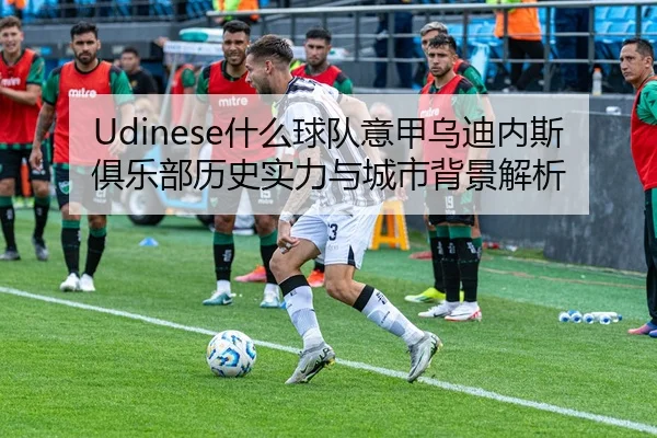 Udinese什么球队意甲乌迪内斯俱乐部历史实力与城市背景解析