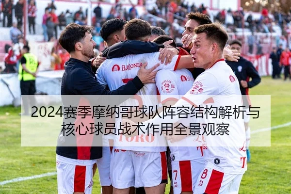 2024赛季摩纳哥球队阵容结构解析与核心球员战术作用全景观察